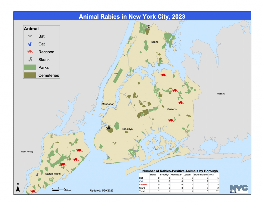 World Rabies Day 2024