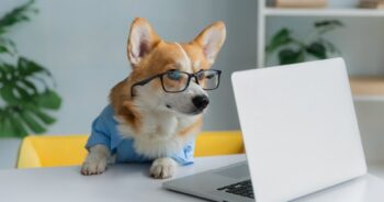 11 Dog Breeds Most Likely To Become Social Media Influencers