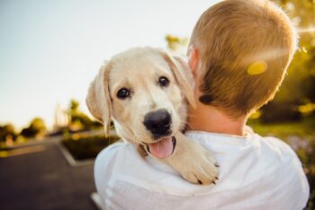 Signs Your Dog Is Trying to Turn You Into a Dog Person (Even If You Already Are One)