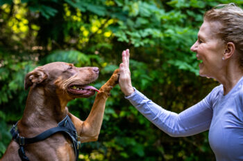 11 Reasons Why Your Dog Is Your Ultimate Fitness Motivator