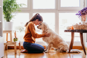 9 Sneaky Ways Your Dog Is Secretly Playing Therapist