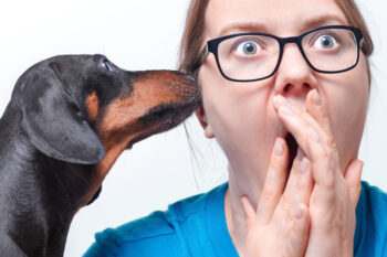 9 Secrets Your Dog Wishes They Could Tell You