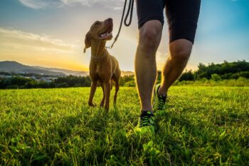 9 Signs Your Dog Is Trying To Turn You Into A Morning Jogger