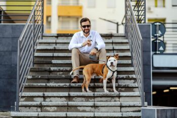 10 Reasons Why Your Dog Is Better Than Your Smartwatch