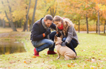 15 Dog Breeds That Are Actually Furry Matchmakers