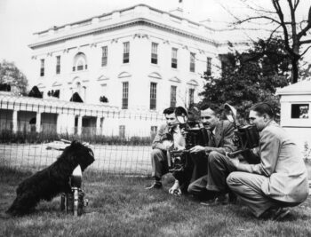 7 Famous Presidential Dogs And The Pawsitive Impact They Made