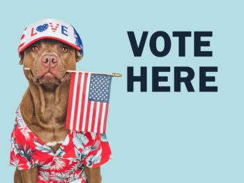 17 Dog Breeds That Would Make The Best U.S. President