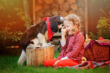 Top 11 Family-Friendly Dog Breeds: Puppies That Love Kids