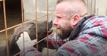 Brave Man Saves Hundreds of Dogs and Promises Them a Perfect Forever Home