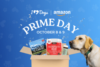 The Best October 2024 Amazon Prime Day Deals for Pets and Pet Parents!