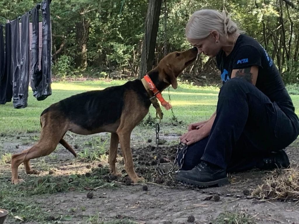 Find Out How Our Fieldworkers Helped Thousands of Animals This Summer