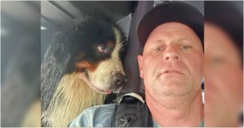 Dog’s ‘Eyes Say It All’ After Firefighter Saves Him From Hurricane