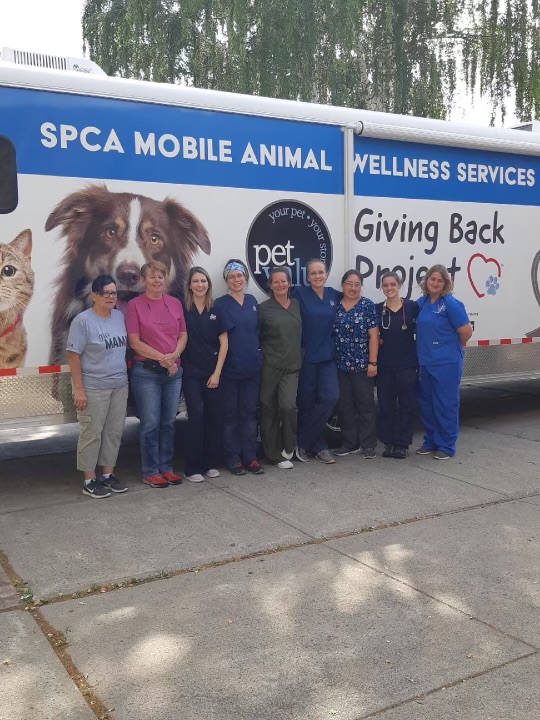 27 years of helping animals in need