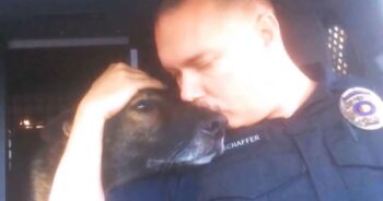 Officer Honors His Retiring K-9 Partner with a Beautiful Final Send-Off