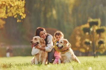 17 Dog Breeds Who Form a Special Bond with Their Families