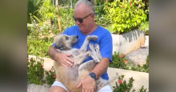 Emotional Owner Shares What His Elderly Street Dog Truly Means to Him