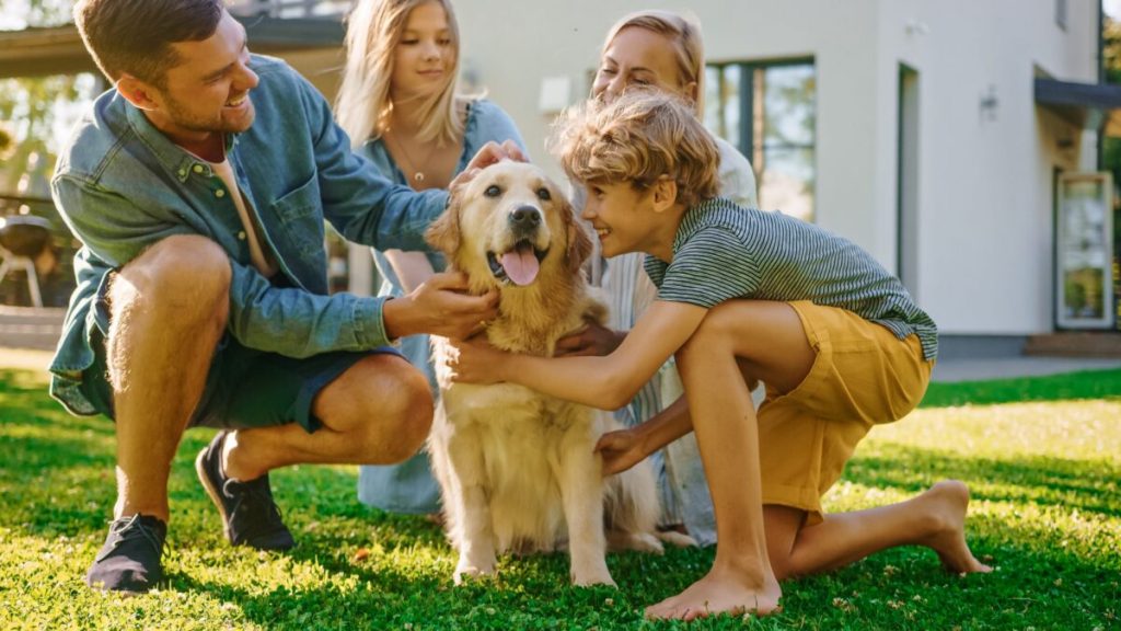 10 Dog Breeds That Fit Right Into Family Life