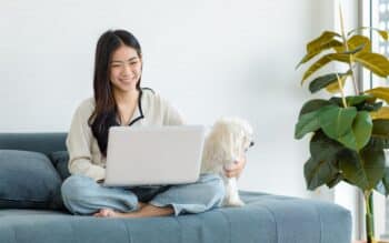 9 Dog Breeds That Make The Best Companions For Remote And Freelance Workers