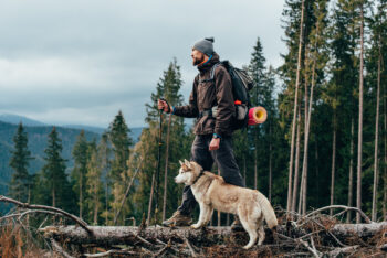 8 Dog Breeds That Make Great Hiking Partners