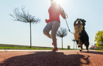 The 10 Best Dog Breeds for Runners