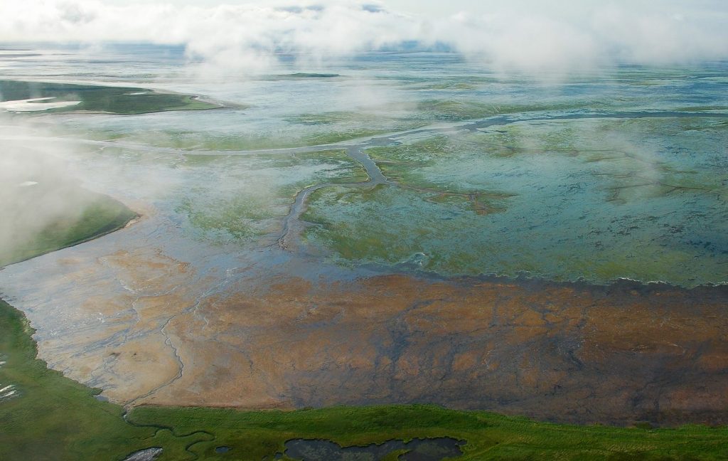 National Wildlife Refuge Association Opposes Proposed Land Swap In Izembek National Wildlife Refuge