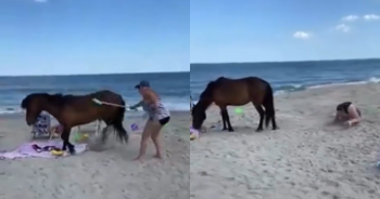 Woman ‘Whacks’ A ‘Wild’ Horse With Shovel And Did Not Expect To Receive “Instant-Karma”