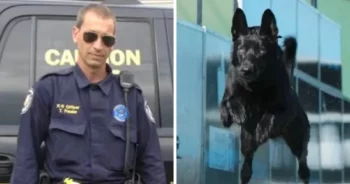 Attackers Beat Up A Lone Cop, But They Didn’t Know His K-9 Partner Was With Him