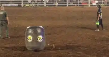 K-9 Dog Makes ‘Dramatic Appearance’ When Rodeo Wrangler Challenges Officer