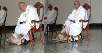 Dog ‘Crashes’ Church Service, and The Priest Ultimately Steals the Show