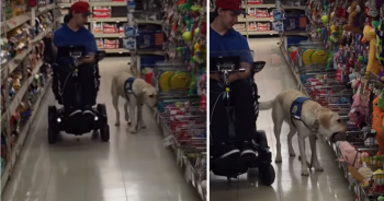 Man Takes His Service Dog on the Sweetest Birthday Shopping Spree