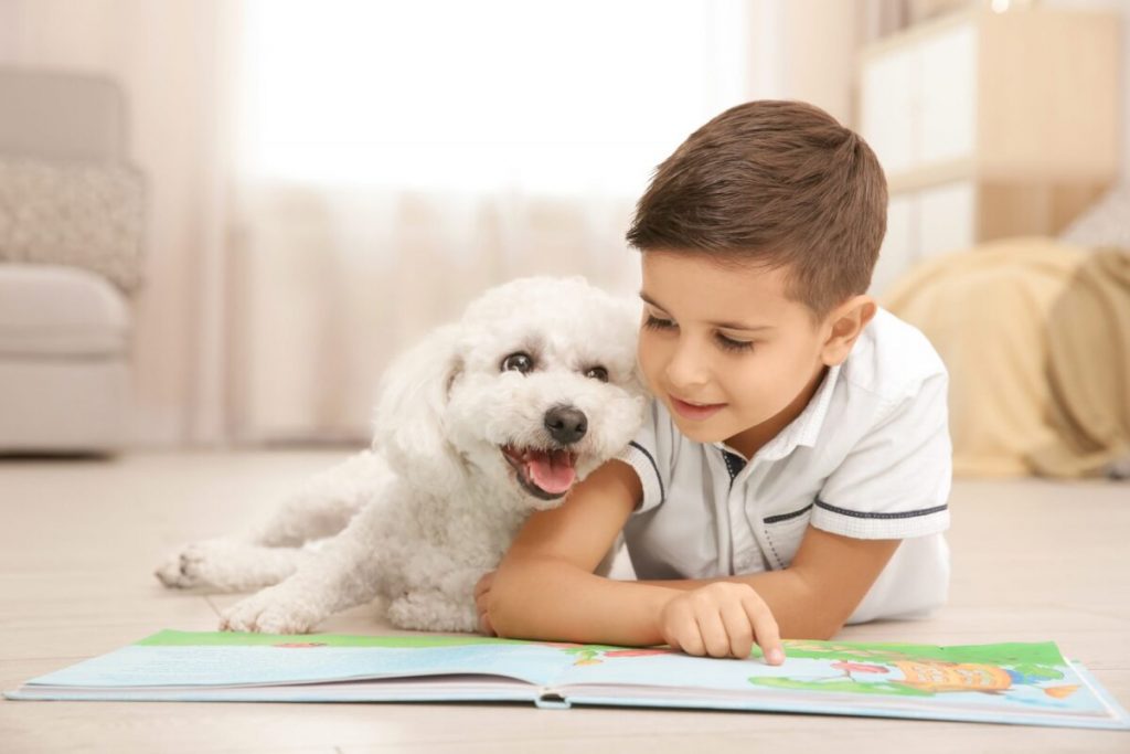 Top 10 Small Dogs Who Are Great With Kids