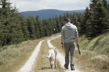 7 Fun Facts About Why Dogs Follow You Everywhere