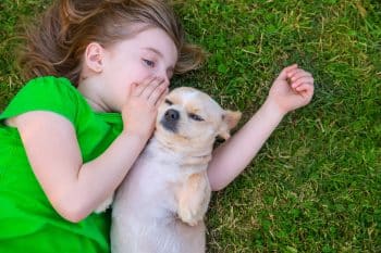 9 Reasons Why Dogs Are The Best Listeners In The World