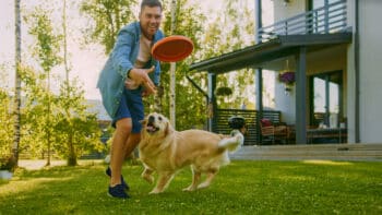 15 Tips For First-Time Dog Owners To Build An Unbreakable Bond