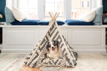 11 Fun Indoor Activities To Keep Your Dog Busy On Rainy Days