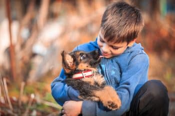 15 Dog Breeds That Bond Deeply with Their Owners for Life