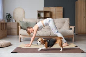 11 Exciting Ways to Keep Your Dog Active and Energized