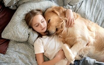 10 Dog Breeds Who Turn Rainy Days into Snuggle Fests