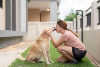 10 Dog Breeds Who Greet You Like A Rockstar