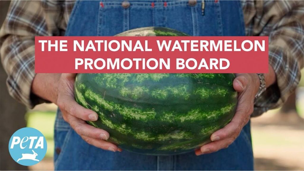 Victory! National Watermelon Board Ends Rotten Animal Tests After PETA Push