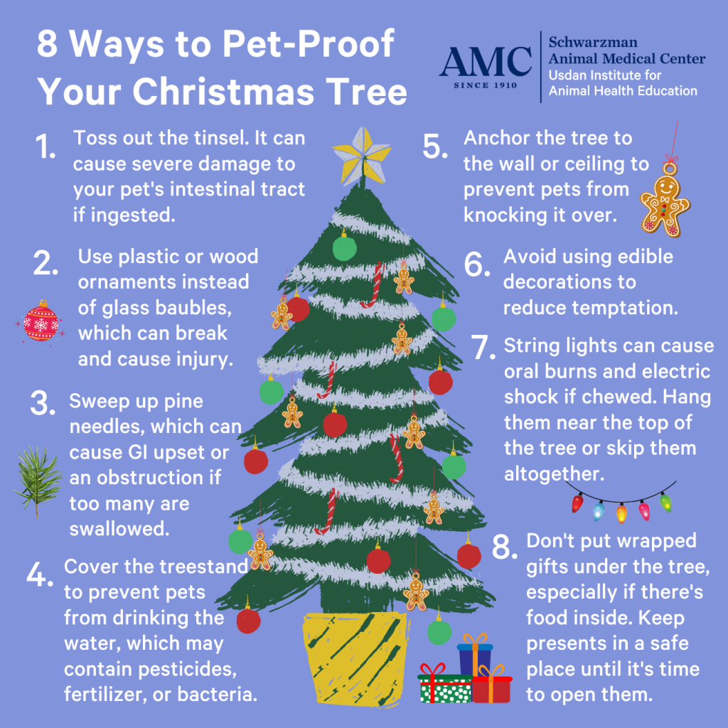 How to Keep Your Pet Safe This Holiday Season: Lessons from AMC’s Christmas Past