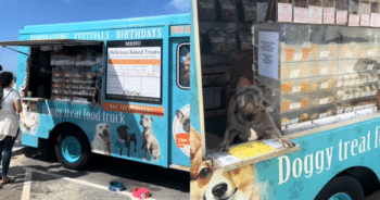 Food Truck Serves Snacks Specially for Dogs—and the Pups Are Loving It!