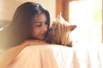 11 Affectionate Reasons Dogs Make Perfect Snuggle Companions