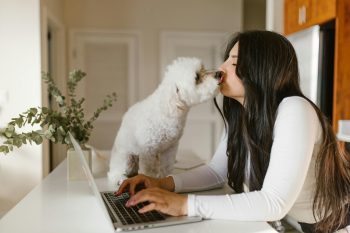 13 Sweet Ways Dogs Quietly Remind Us We’re Loved