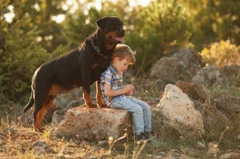 Top 13 Dog Breeds That Will Always Make You Feel Safe And Loved