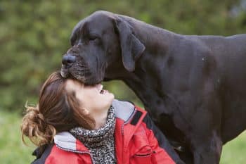 9 Sweet and Gentle Signs Your Dog Sees You as Their Best Friend