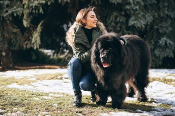 13 Big Dog Breeds With Even Bigger And Kinder Hearts