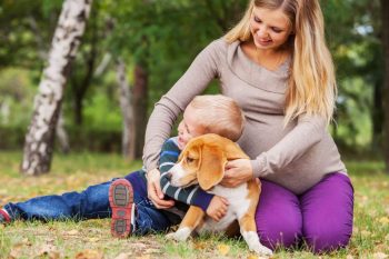 Top 13 Dog Breeds That Are Masters of Making Families Feel Whole