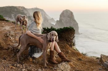 Ultimate 15 Dog Breeds That Show You How to Live in the Moment