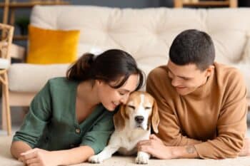 Top 7 Dog Breeds That Turn a House Into a Home Instantly